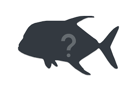 Image result for Liza ramada