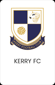 Image result for Walney Island Football Club