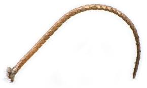 Attēlu rezultāti vaicājumam “Catoptria verellus”