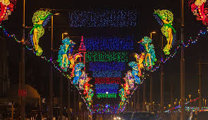 Image result for Blackpool Lights Basketball Club