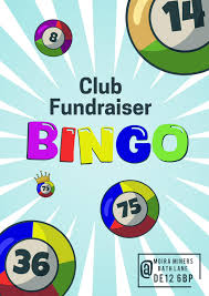 Image result for Ashby Croquet Club At Moira Miners Welfare