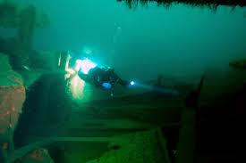 Image result for Plymouth Aquanauts