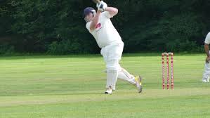 Image result for Grayshott Cricket Club