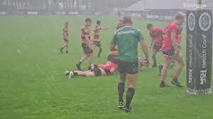 Image result for Dalton Arlfc