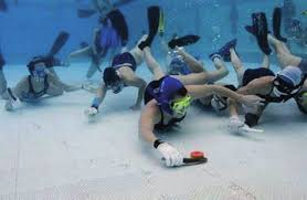 Image result for Norfolk Pikes Octopush Club