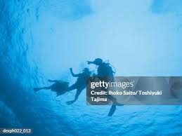 Image result for Three Seas Diving