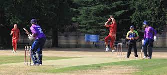 Image result for Witham Cricket Club