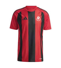 Image result for St Margaretsbury Cricket Club