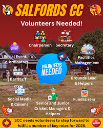 Image result for Salfords Cricket Club