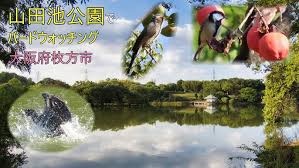 「アトリ・レギンハルト」の画像検索結果