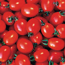 Afbeeldingsresultaat voor principe borghese tomato