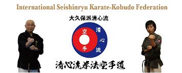 Image result for Imi Jishin Ryou karate do