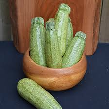 Attēlu rezultāti vaicājumam “Cucurbita pepo”