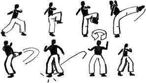 Image result for Rabo de Arraia Capoeira