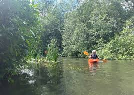 Image result for Martlet Kayak Club