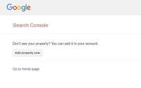 Can't find property within Search Console - Google Search Central ...