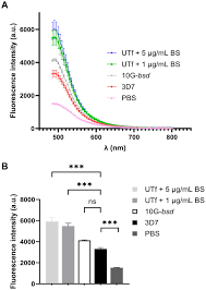Attēlu rezultāti vaicājumam “Enteridium variabile plasmodium”