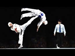 Image result for COMBAT TAEKWONDO