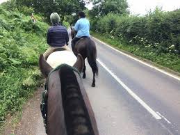 Image result for Beechwood Riding School