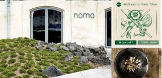 Image result for noma mad