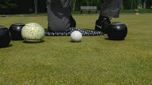 Image result for Forth Bowling Club
