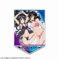 「南宮那月 ストライク・ザ・ブラッド」の画像検索結果