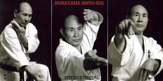 Image result for Shitokai Karate Club