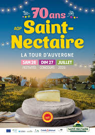Image result for saint nectaire