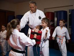 Image result for Springwood Karate