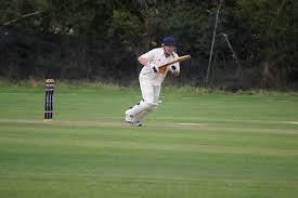 Image result for Ingatestone & Fryerning Cricket Club