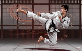 Image result for COMBAT TAEKWONDO