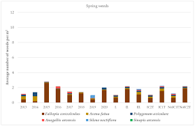 Attēlu rezultāti vaicājumam “Microrrhinum minus leaf”