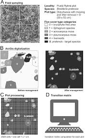 Attēlu rezultāti vaicājumam “Breidleria pratensis”