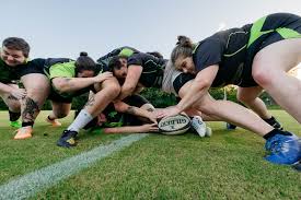 Image result for Davison Badminton Club