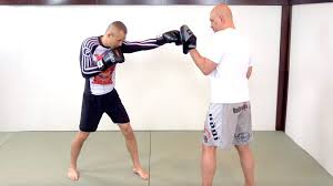 Image result for Trusted Guard Martial Arts Dojo