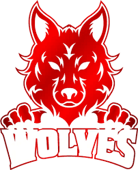 Image result for Northchurch Football Club