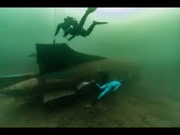 Image result for Notanx Freedive Club