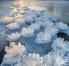 Attēlu rezultāti vaicājumam “Frost Flowers”