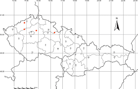Attēlu rezultāti vaicājumam “Hapalopilus aurantiacus”