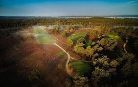 Image result for Hankley Common Golf Club