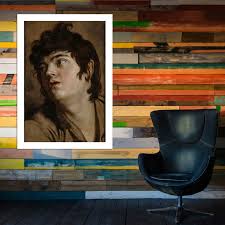 Attēlu rezultāti vaicājumam “Collaria rubens young”