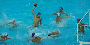Image result for York University Swimming & Water Polo Club