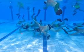 Image result for York Octopush Club