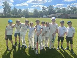 Image result for Ingatestone & Fryerning Cricket Club