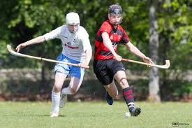 Image result for Skye Camanachd