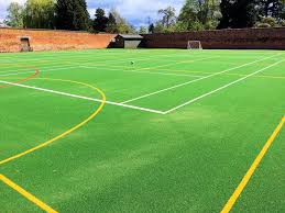 Image result for Astroturf