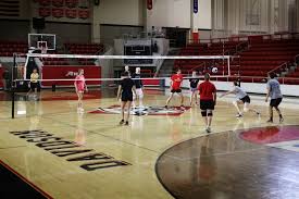 Image result for Davison Badminton Club