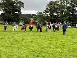 Image result for Peebles & District Riding Club