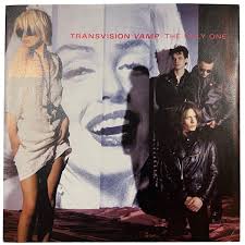 Image result for transvision vamp