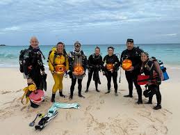 Image result for Surrey Aquanauts B S A C 0689